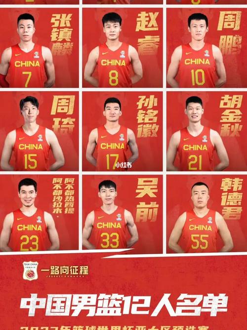 中国男篮12人大名单