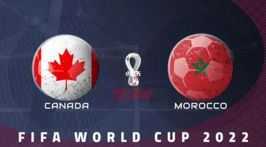 加拿大vs摩洛哥比分预测